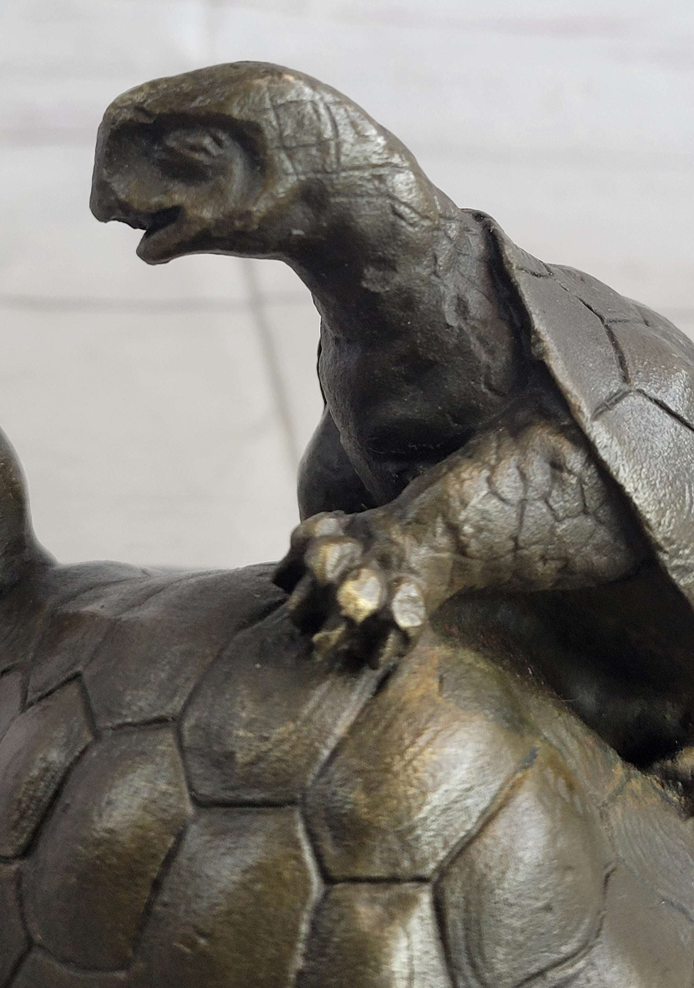 ADORABLE FIGURINE TWO TURTLE SHARING LOVE BRONZE STATUE SCULPTURE FIGURE FIGURE