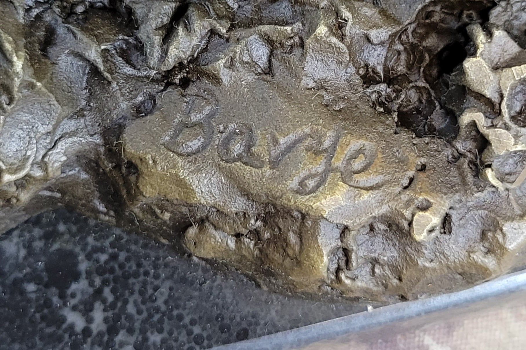 Wild Boar Feral Hog Pig Kicking Hind Legs Bronze Sculpture Statue Figure on Marble Base