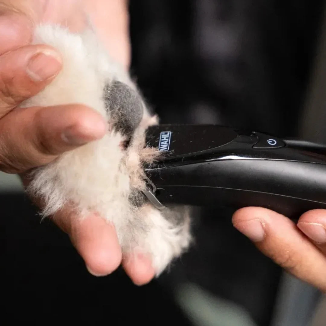 Wahl Fidela Cordless Trimmer