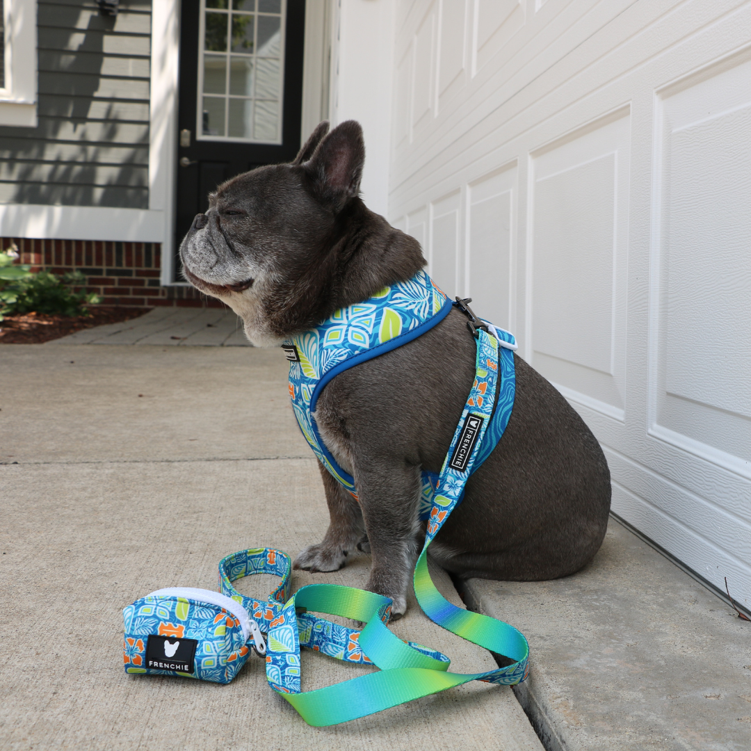 Frenchie Duo Reversible Harness - Waikiki