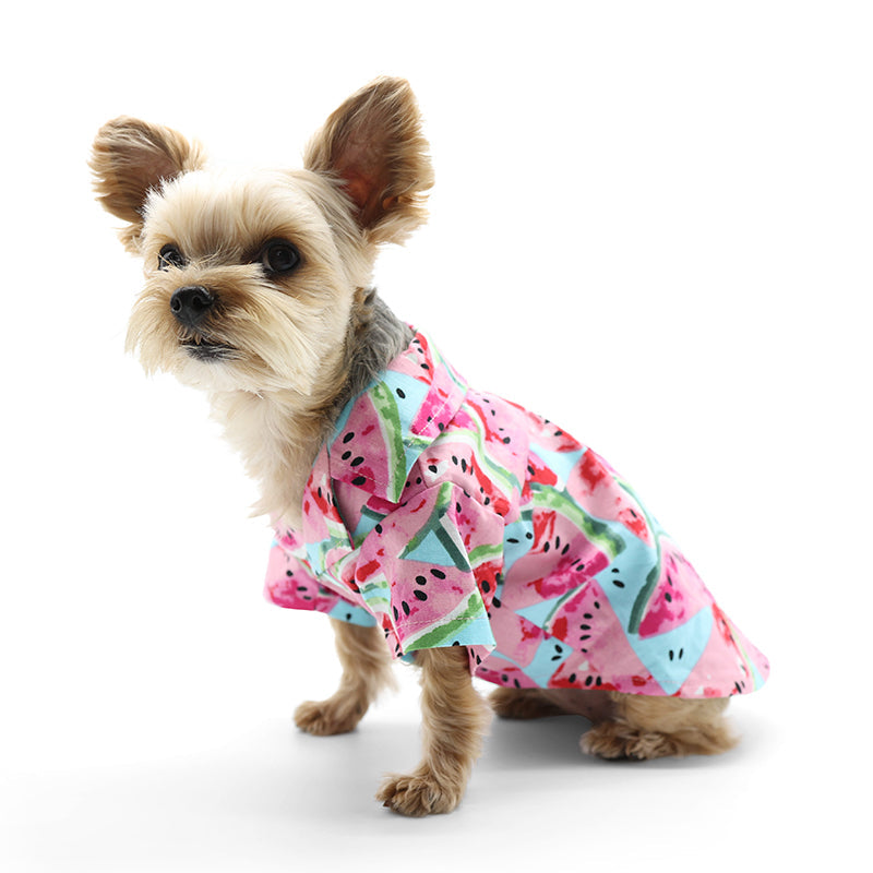 DOGO Watermelon Dog Shirt
