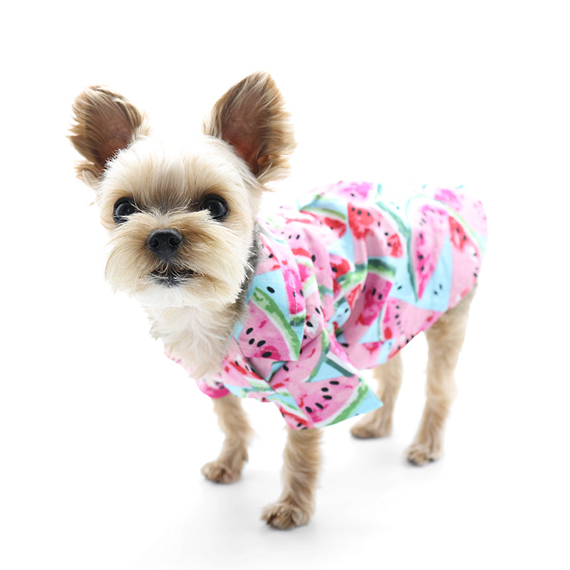 DOGO Watermelon Dog Shirt