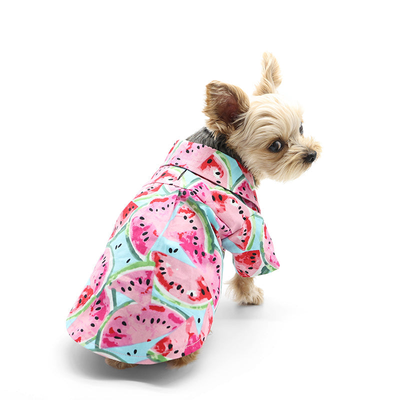 DOGO Watermelon Dog Shirt