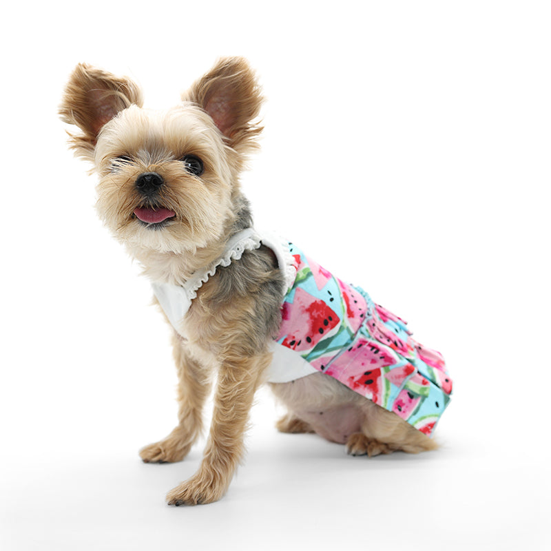 DOGO Watermelon Dog Sundress