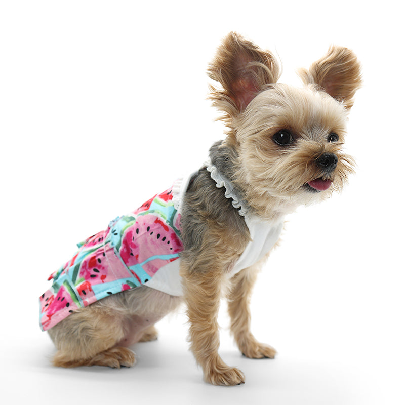 DOGO Watermelon Dog Sundress