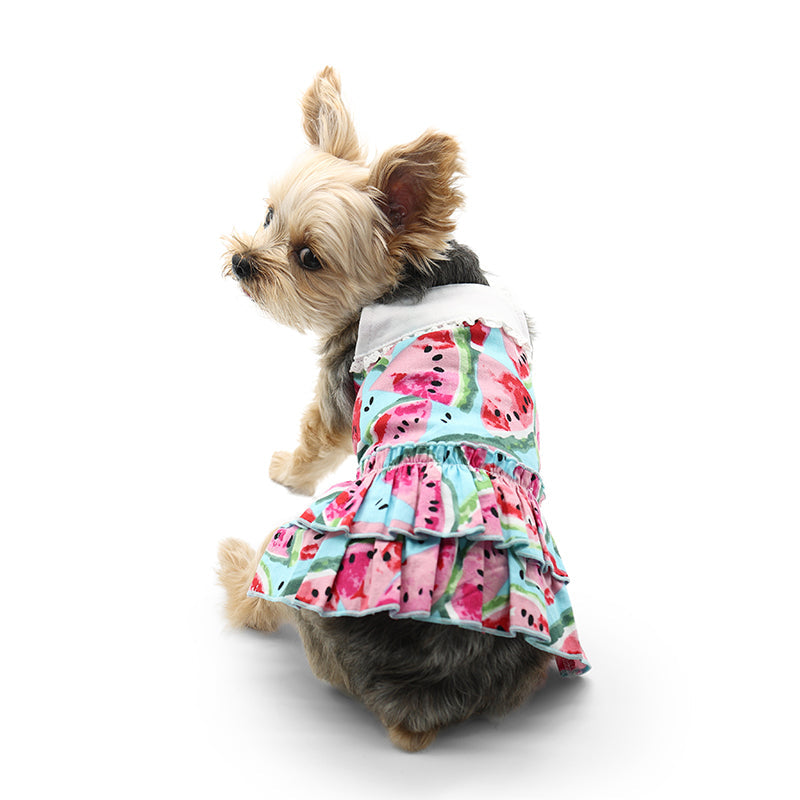 DOGO Watermelon Dog Sundress