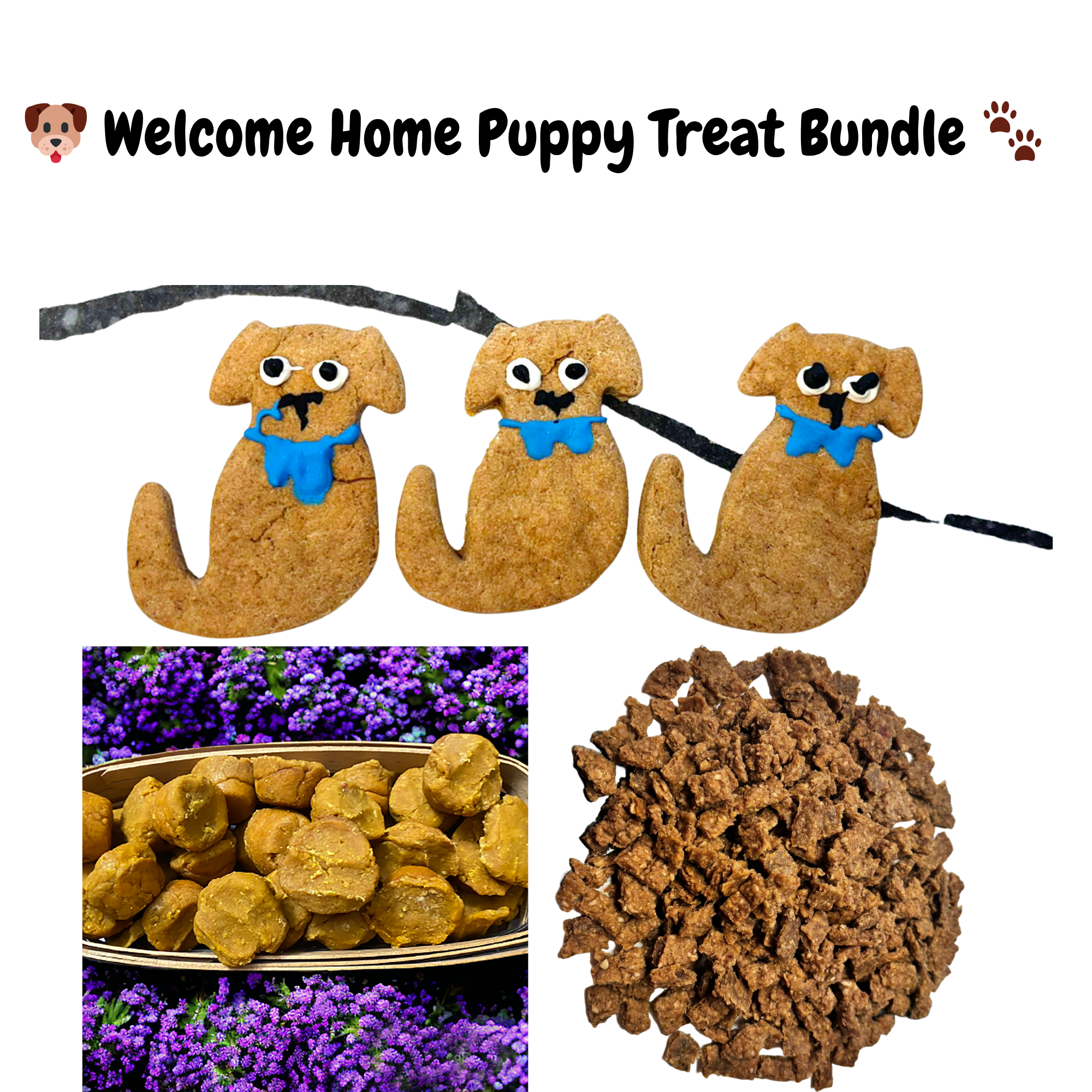 PAWsitively Organic Welcome Home Puppy Treat Bundle