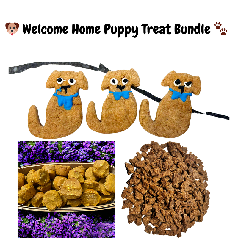 PAWsitively Organic Welcome Home Puppy Treat Bundle