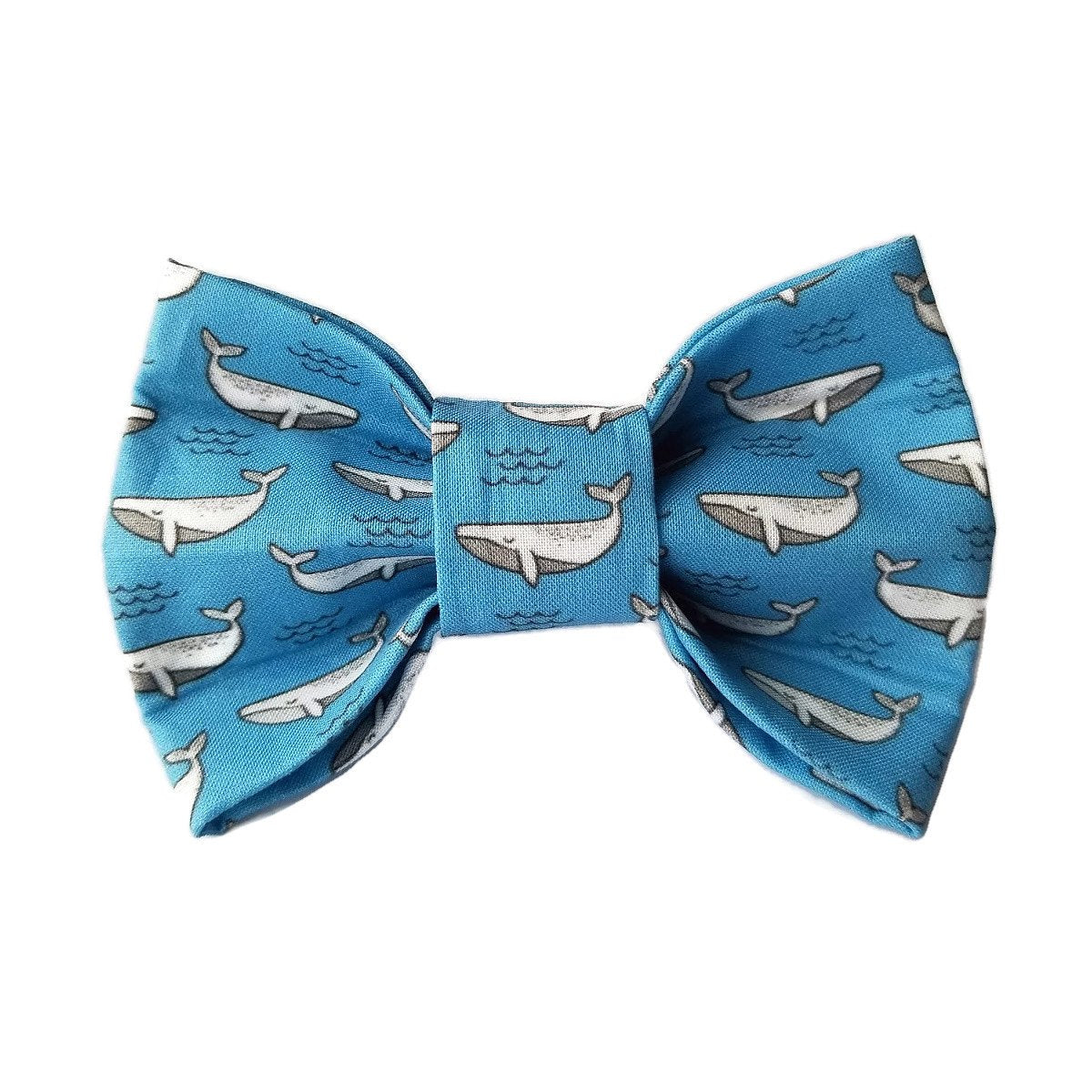 Whale 