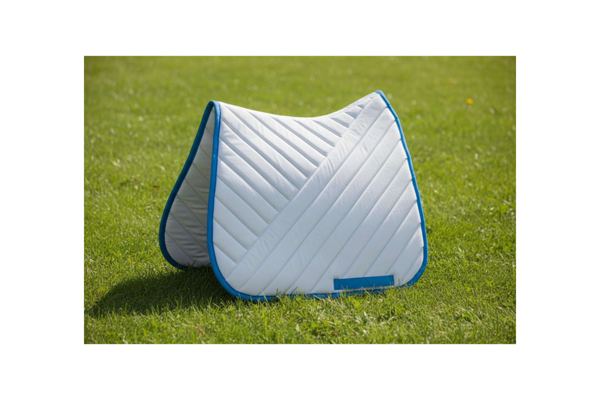 Premium Quality Horse Rug White and Blue Color