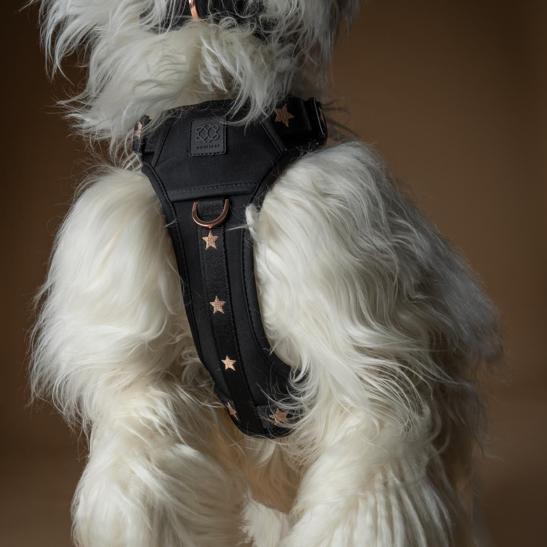 DOGISTRY NoMad Adjustable Luxe Harness - Rockstar