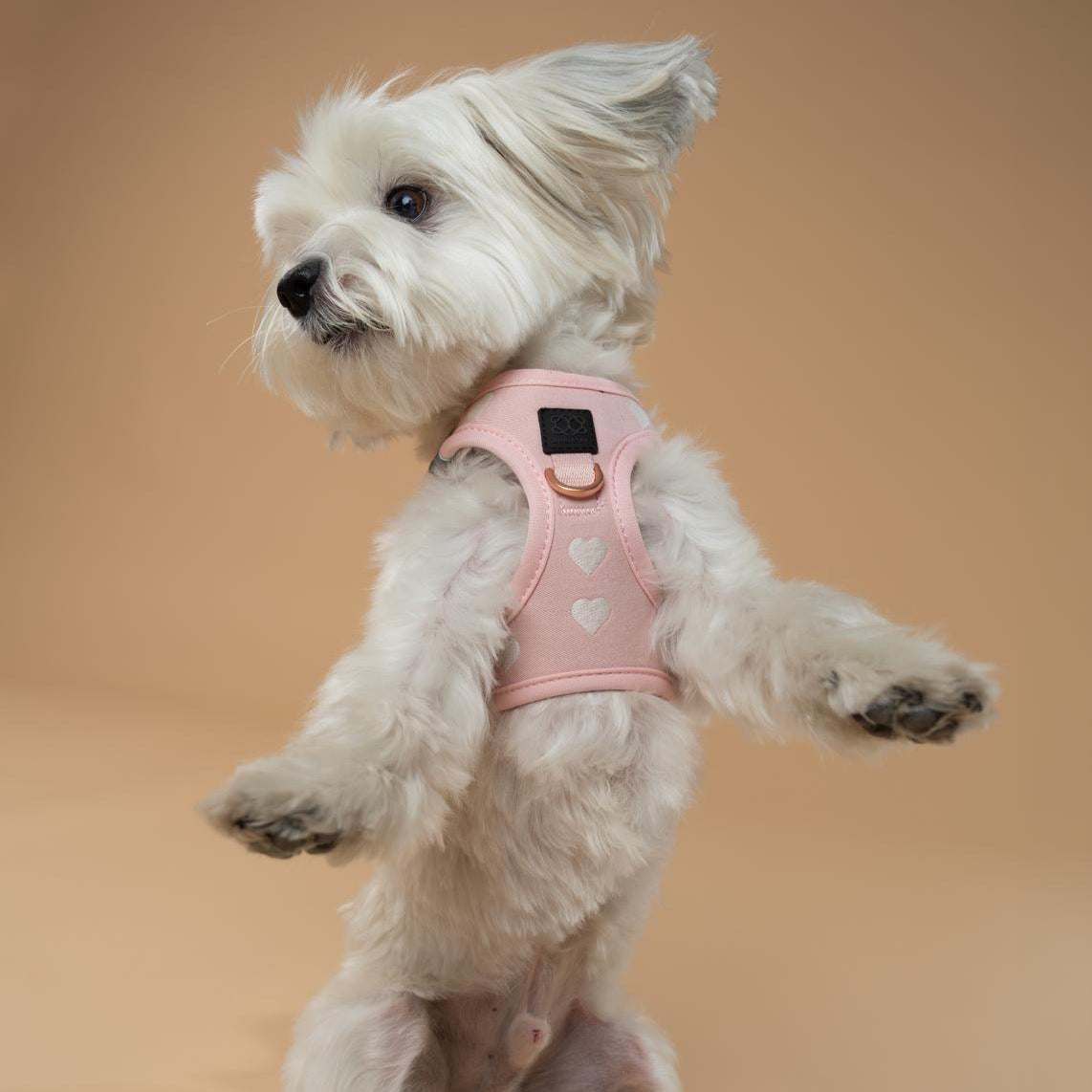 DOGISTRY SoHo Dog Harness - Sweetheart