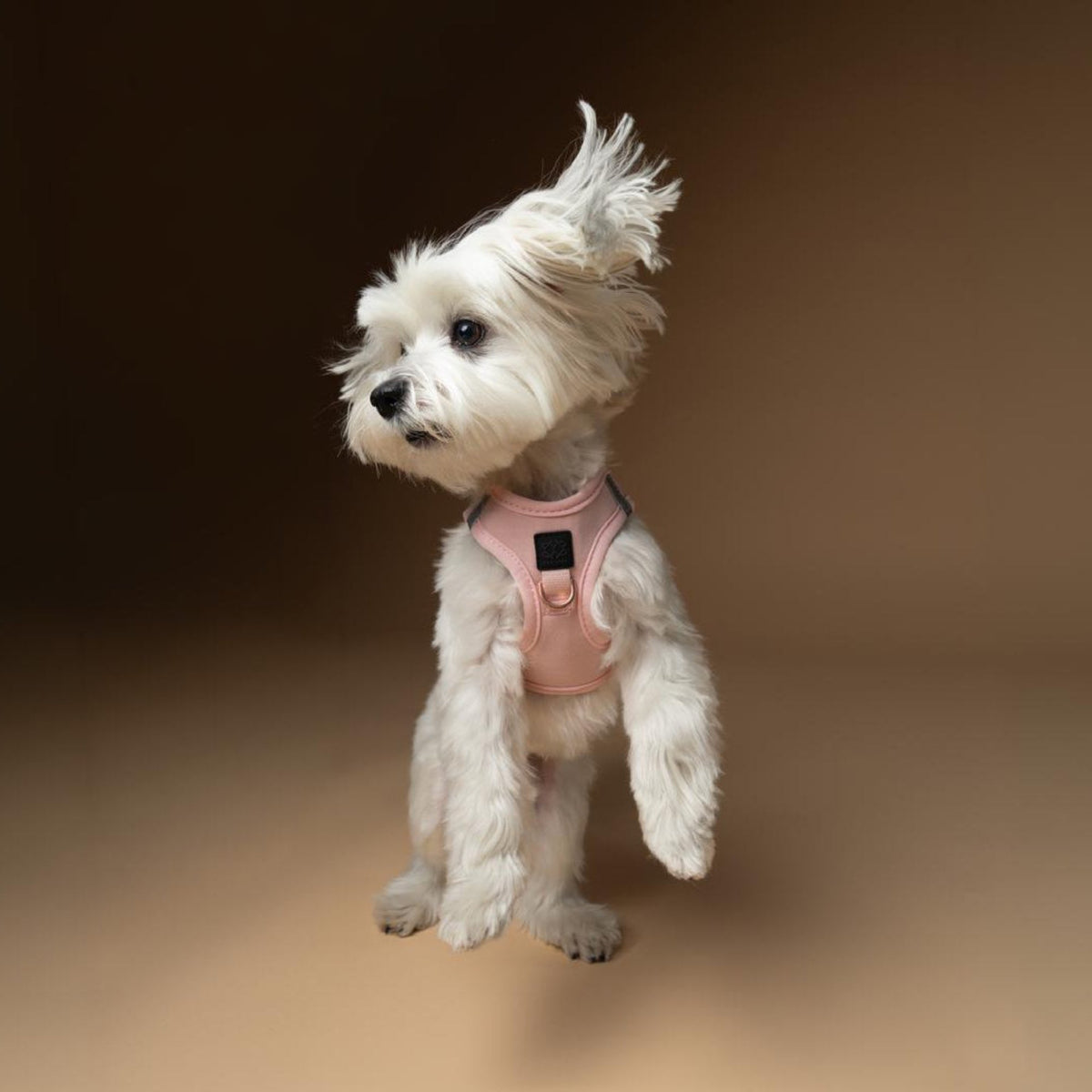 DOGISTRY SoHo Dog Harness - Blush Pink