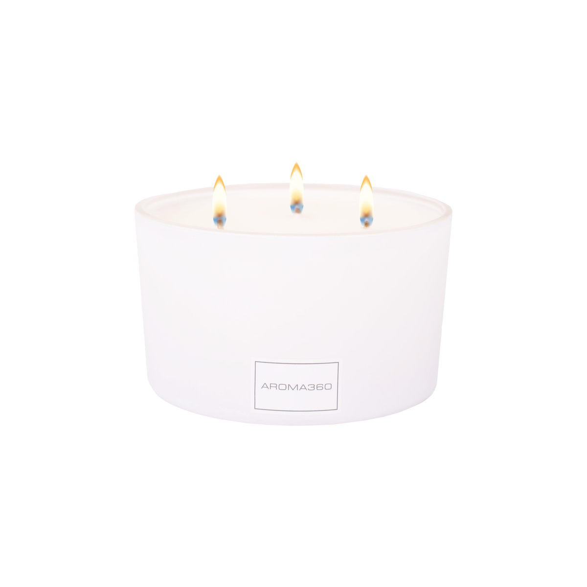 Iris 3-Wick Candle - HT Animal Supply