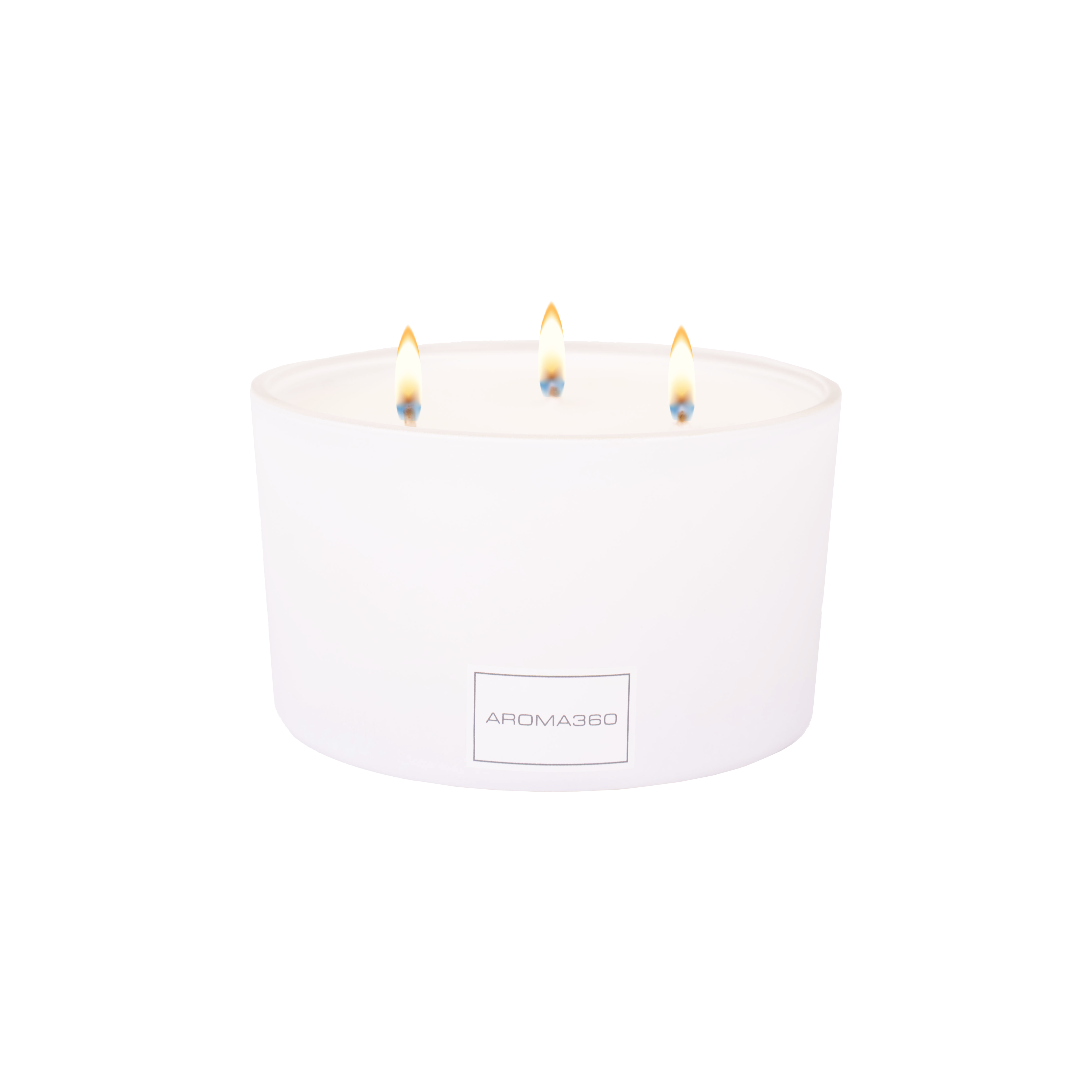 Déjà Vu 3-Wick Candle