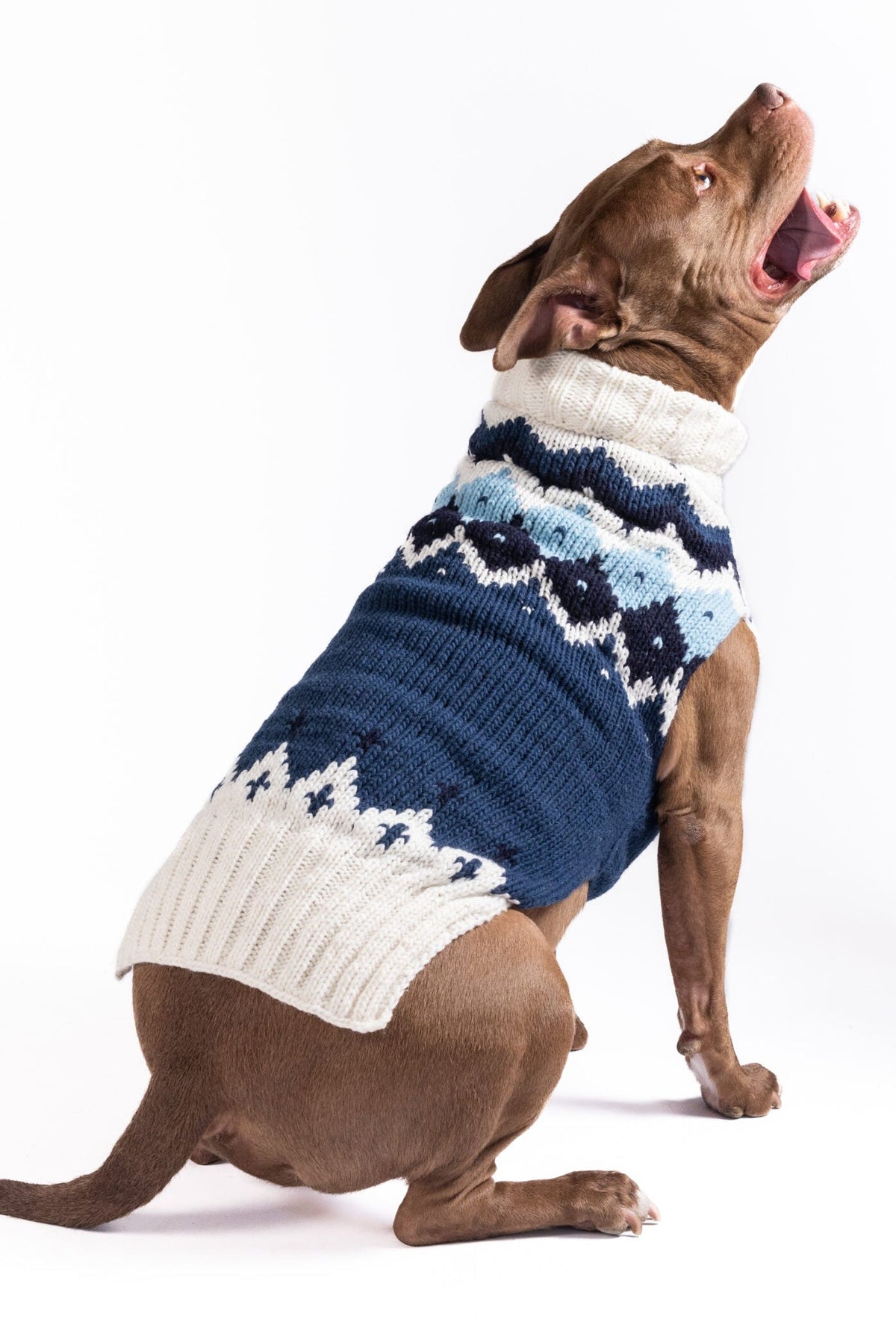 Chilly Dog Midnight Ski Bum Wool Dog Sweater