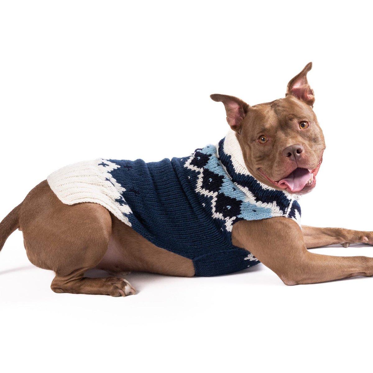 Chilly Dog Midnight Ski Bum Wool Dog Sweater