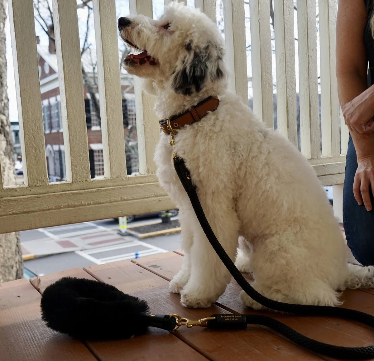 Bonne et Filou – Shearling Fur Grip & Rope Dog Leash Set
