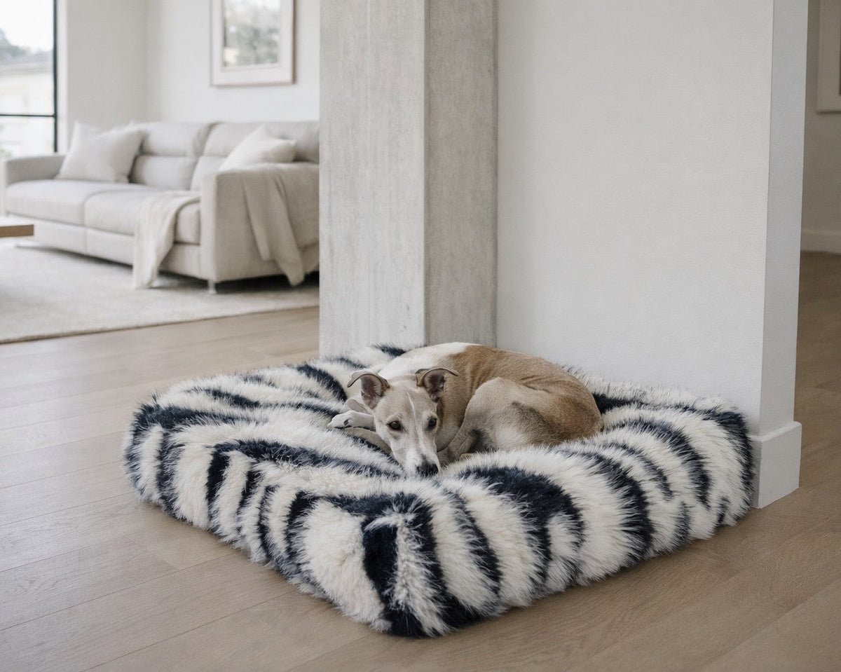 Bowsers Piazza Round Bolster Dog Bed - 360-Degree Head and Neck Support