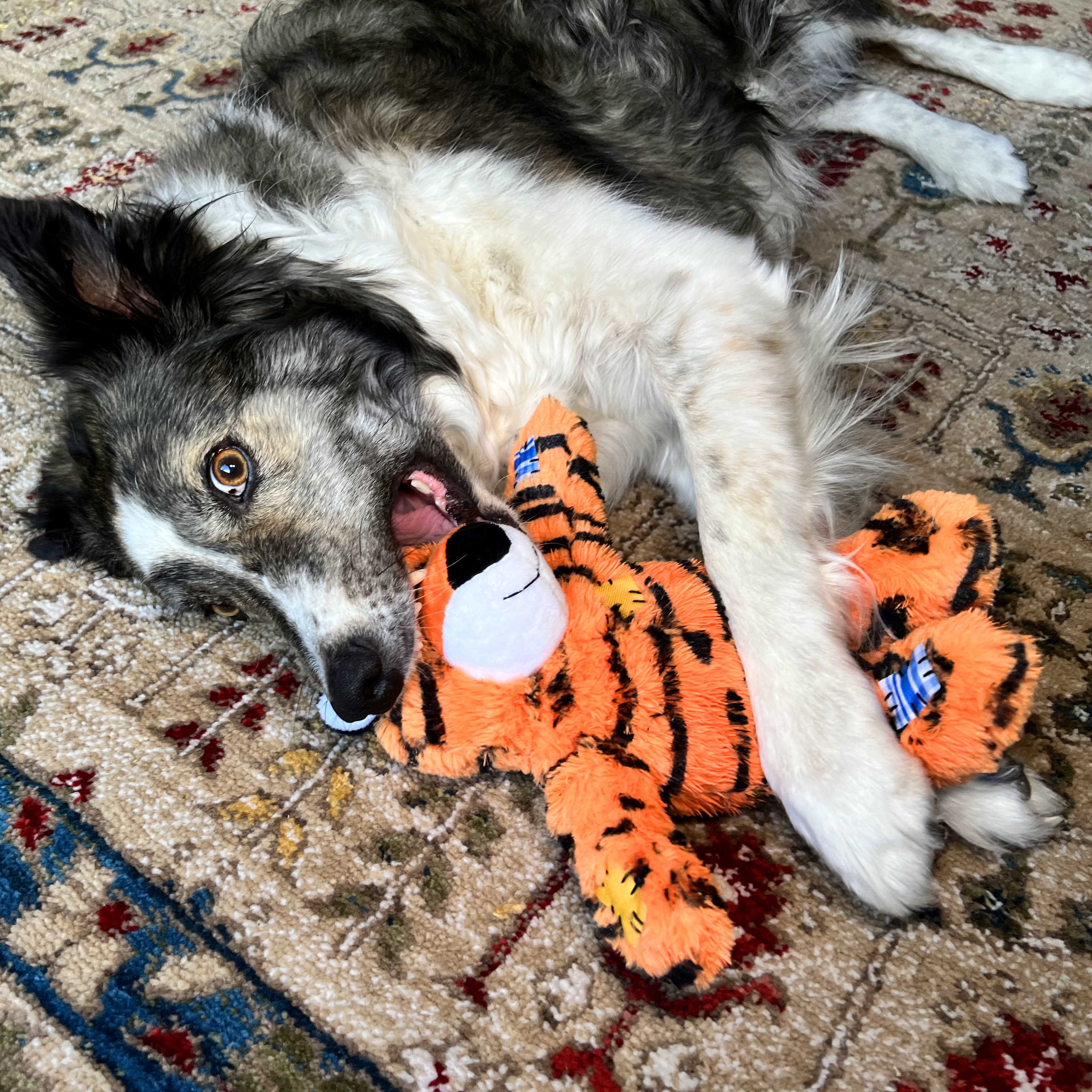 Kong Wild Knots Tiger - HT Animal Supply