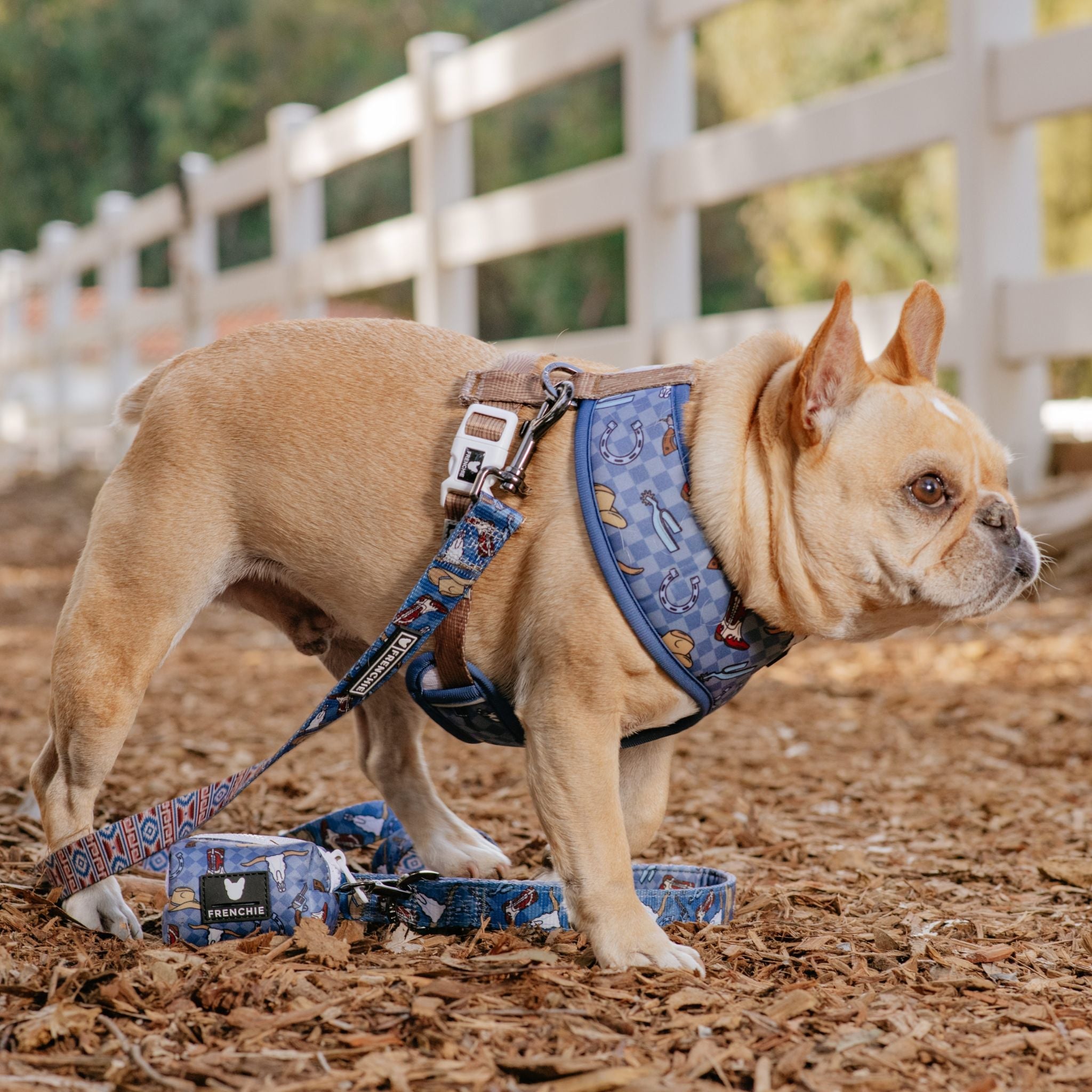 Frenchie Comfort Leash - Wild West (Blue)