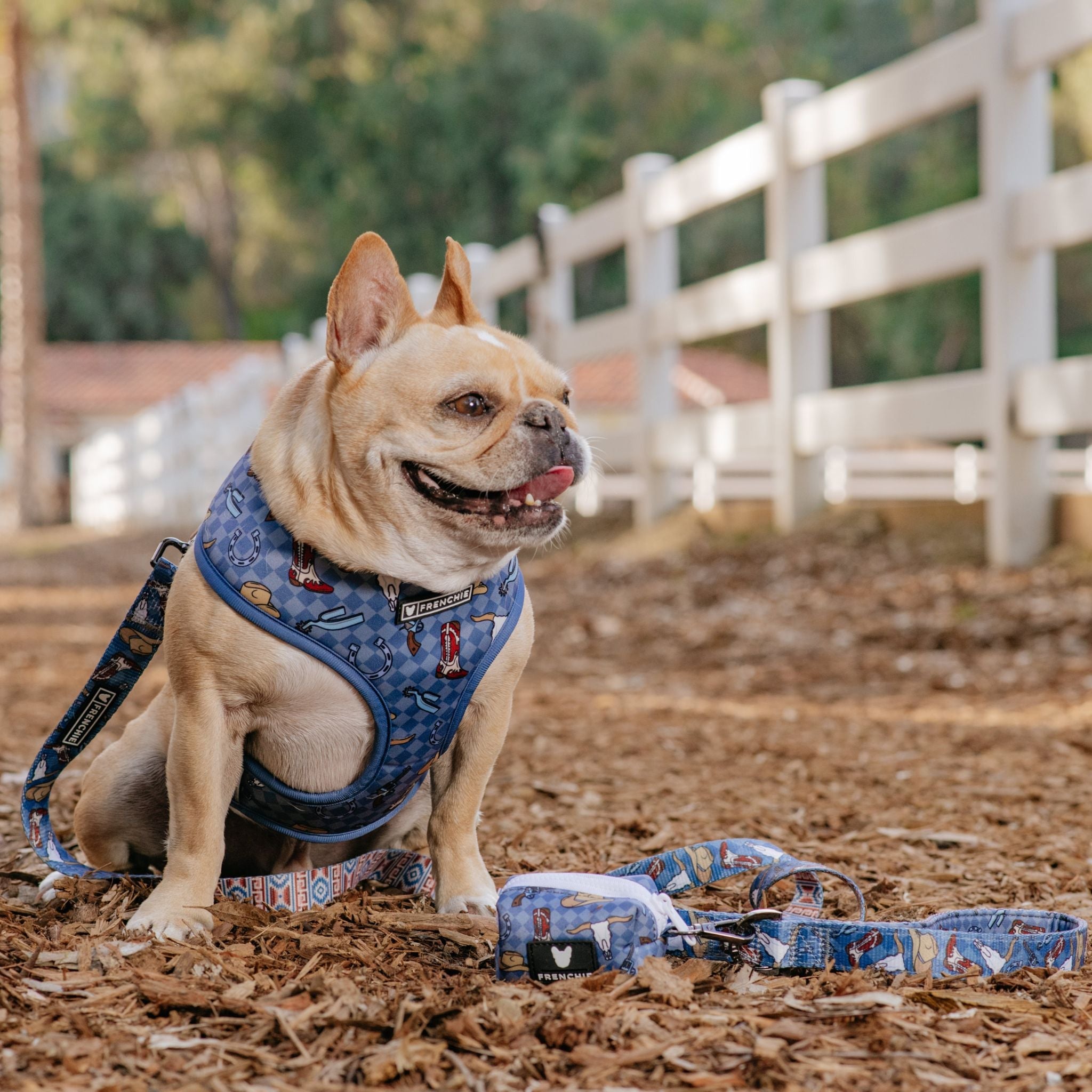 Frenchie Comfort Leash - Wild West (Blue)