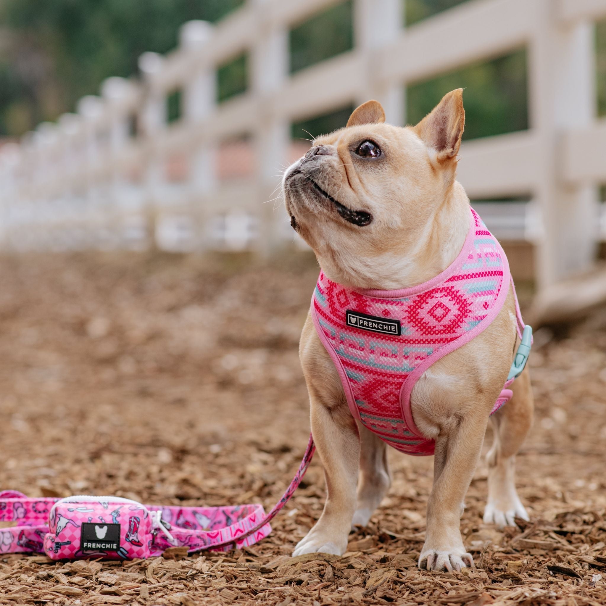 Frenchie Poo Bag Holder - Wild West (Pink)