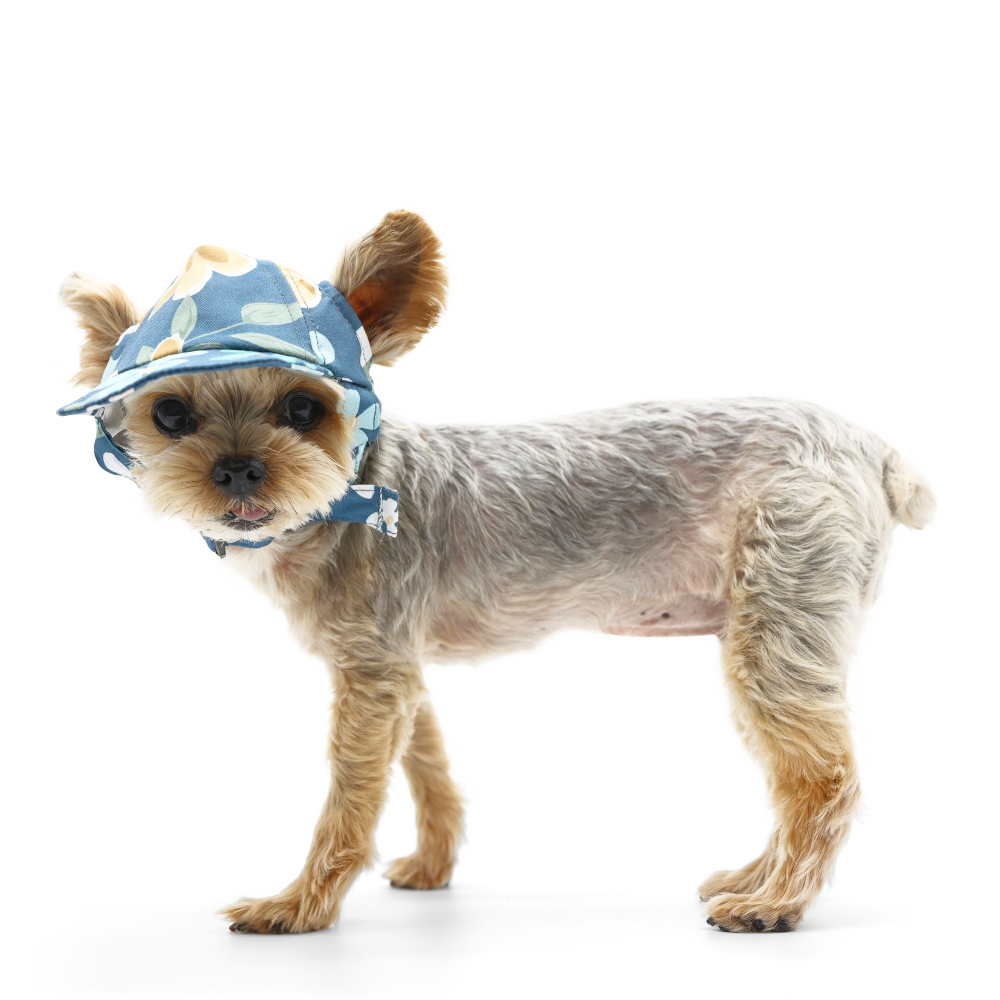 DOGO Wildflower Dog Baseball Hat