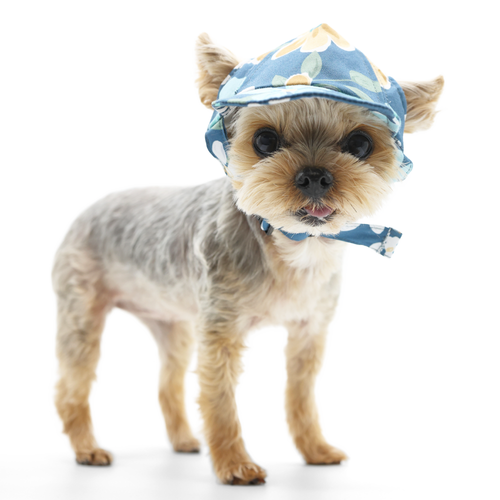 DOGO Wildflower Dog Baseball Hat