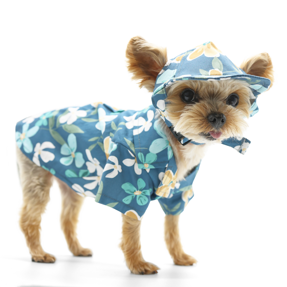 DOGO Wildflower Dog Baseball Hat