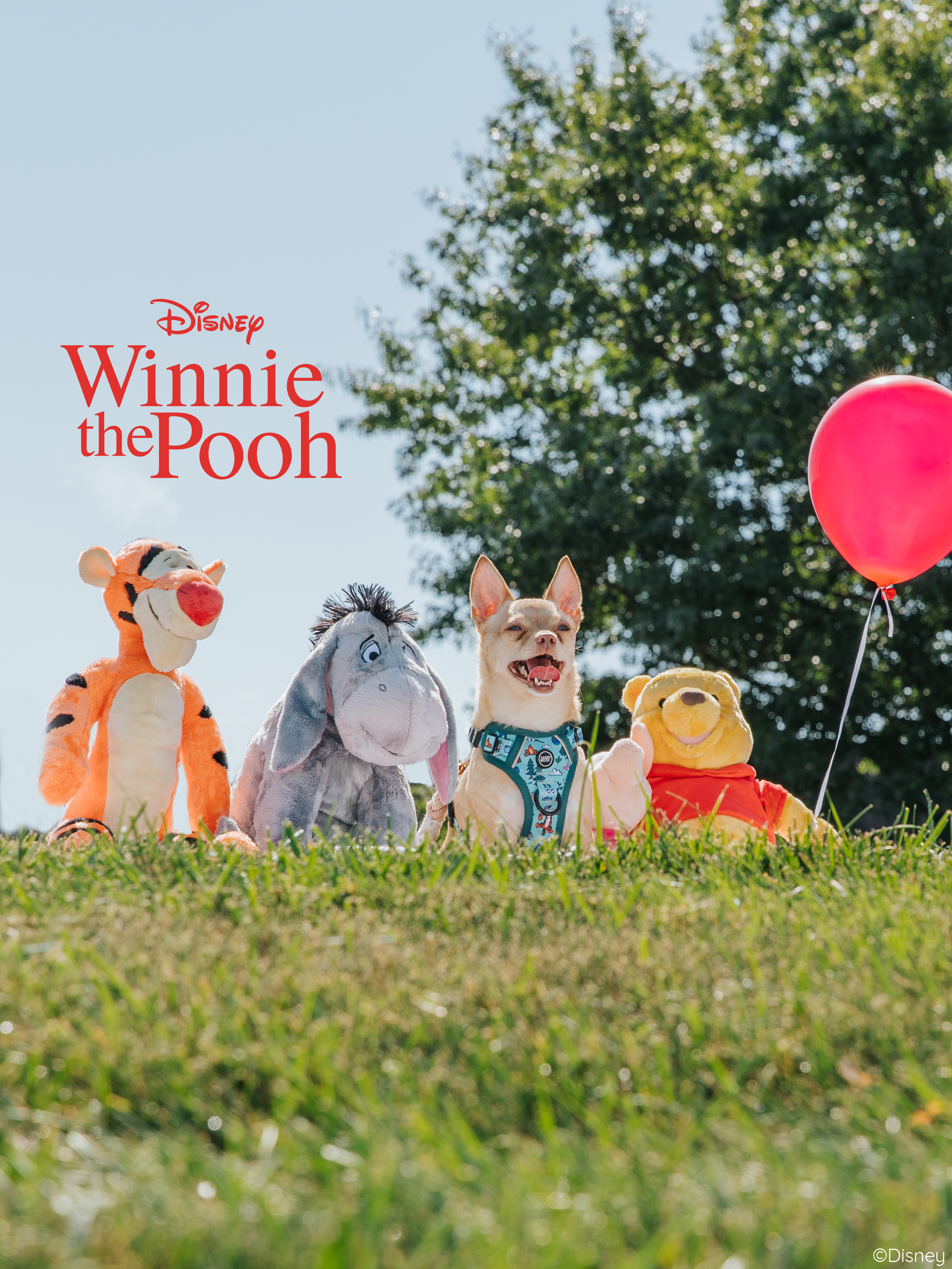 Dog Step-in Harness - Disneys Winnie the Pooh