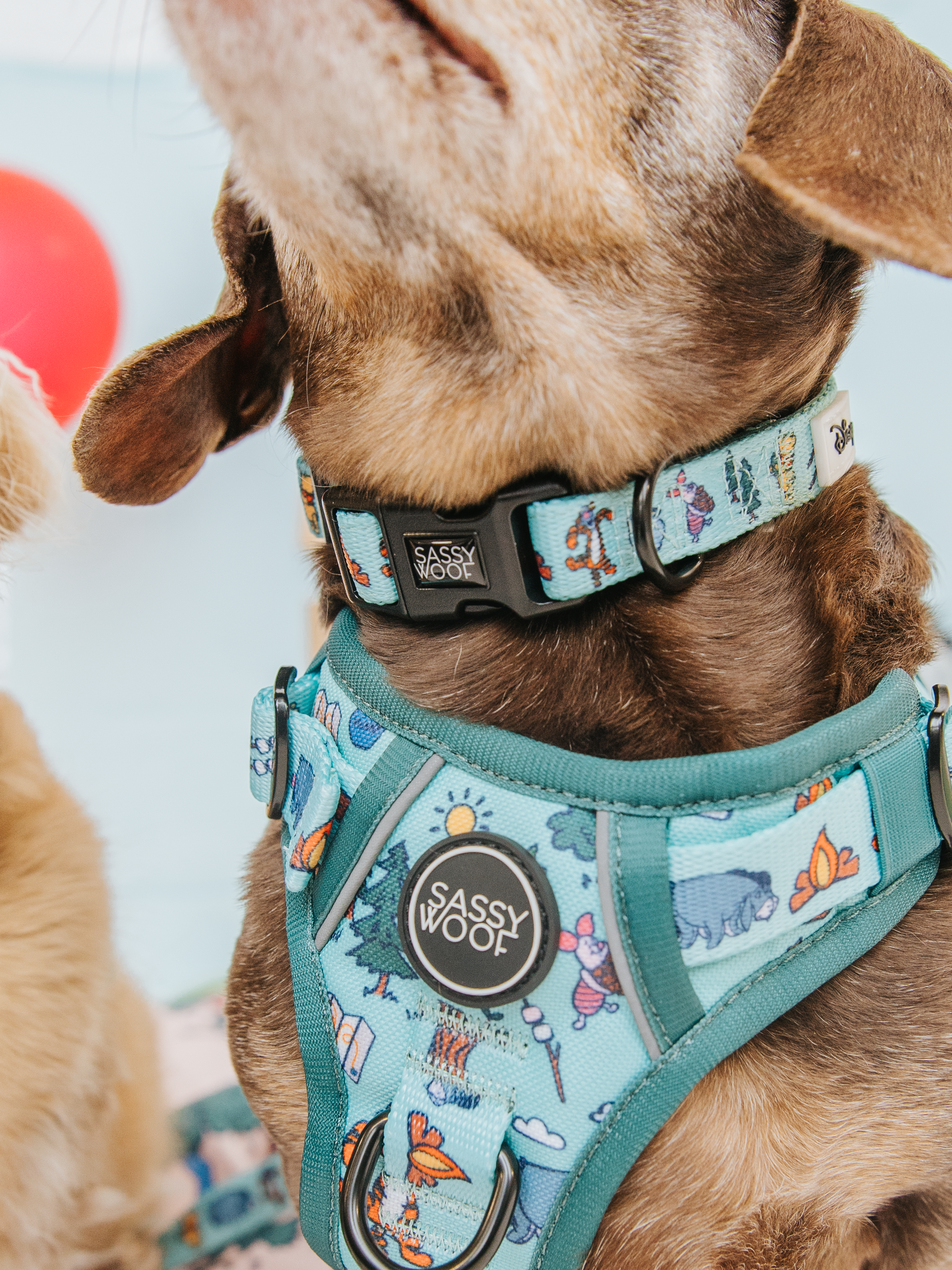 Dog Step-in Harness - Disneys Winnie the Pooh