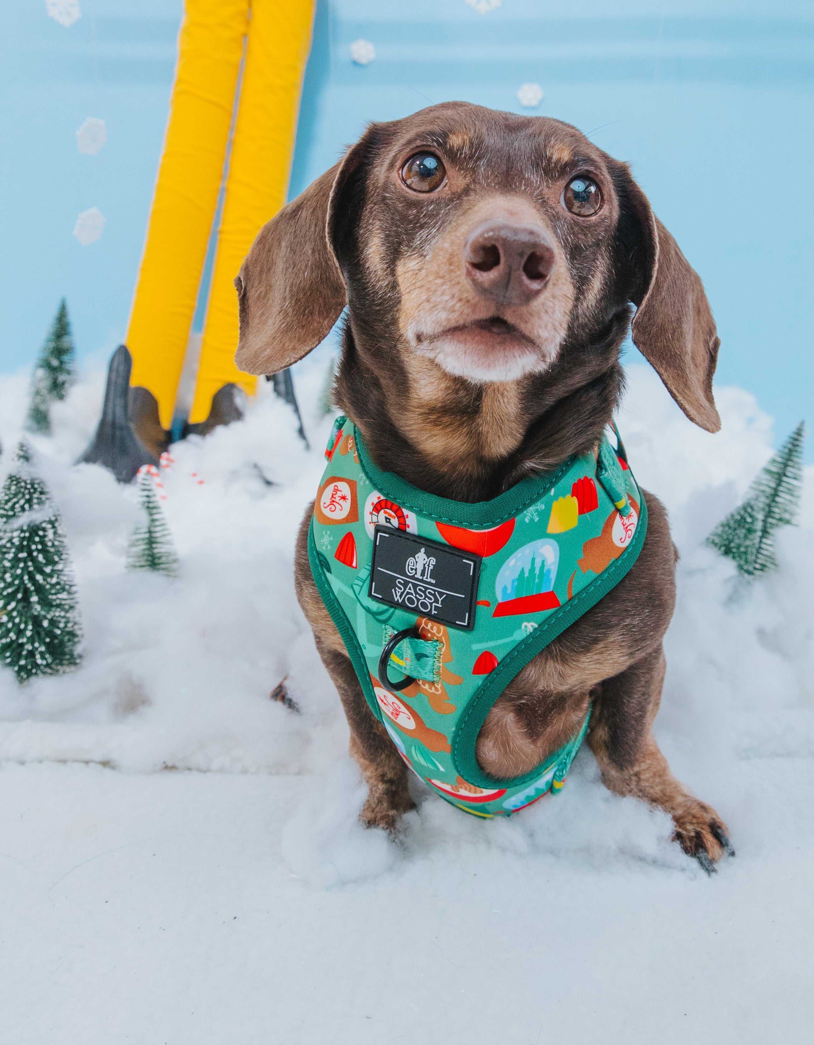 Dog Adjustable Harness - Elf™