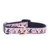 Up Country Witchy Small Breed Dog Collar Copy Small Breed Dog Collar Made in USA