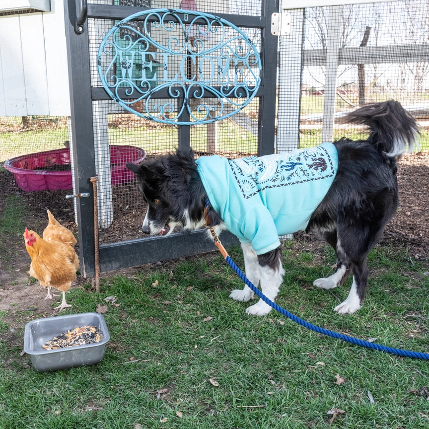 Wrangler® Desert Poster Hoodie