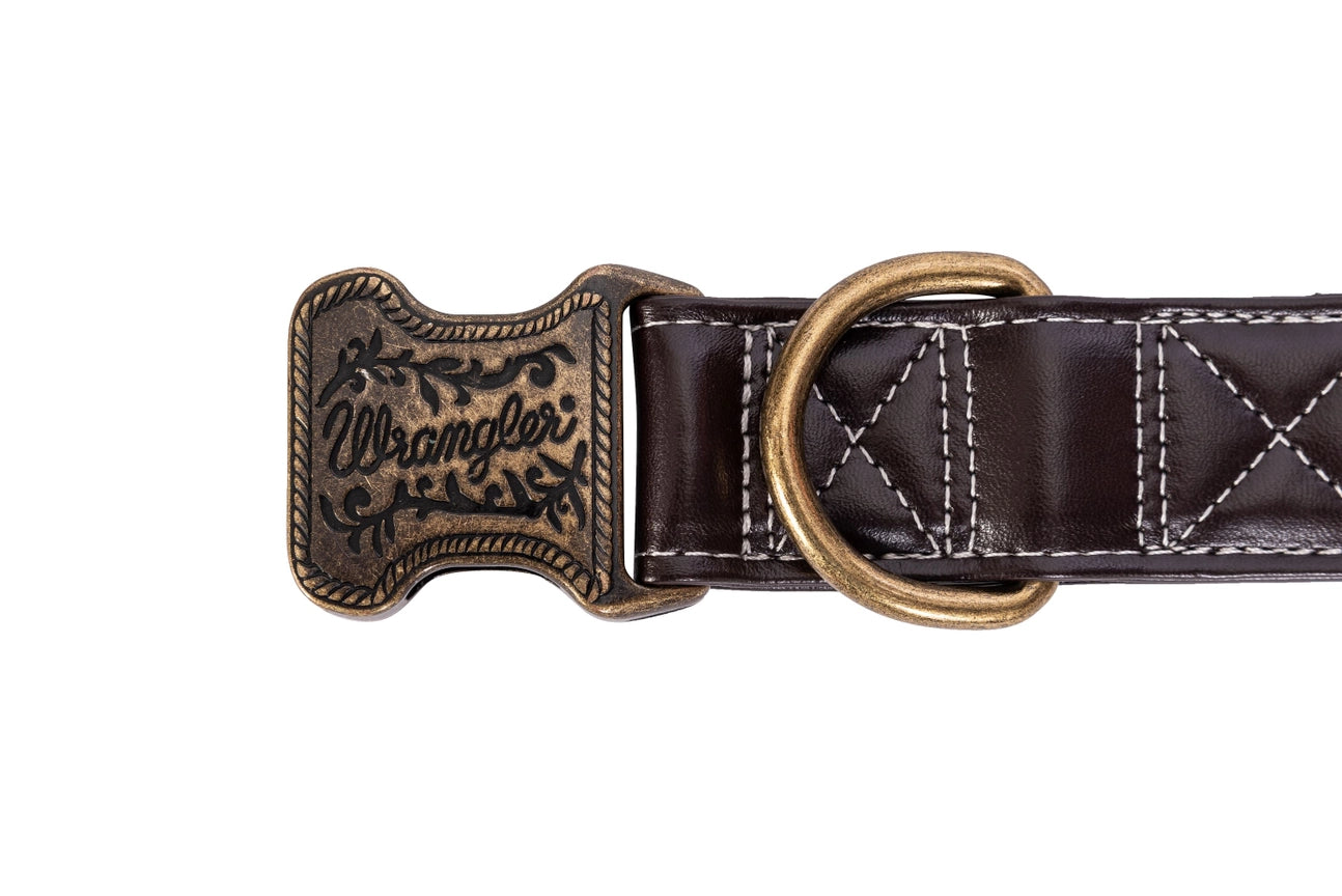 Wrangler® Faux Leather Collar with Gold Buckle Dark Brown