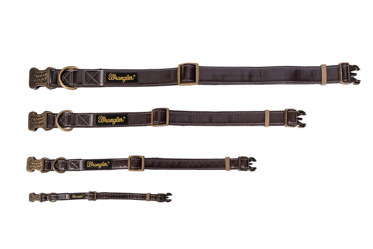 Wrangler® Faux Leather Collar with Gold Buckle Dark Brown