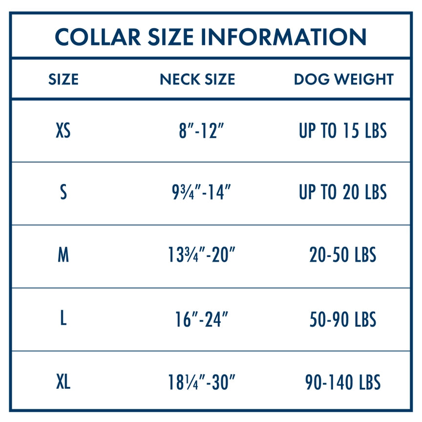 Wrangler® Faux Leather Collar with Gold Buckle Dark Brown