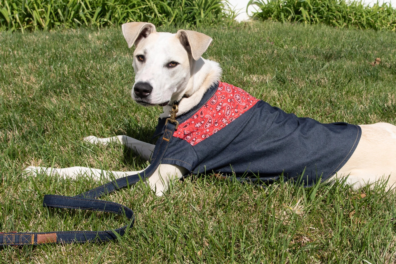 Wrangler® Pattern Yoke Denim Shirt – Dark Blue