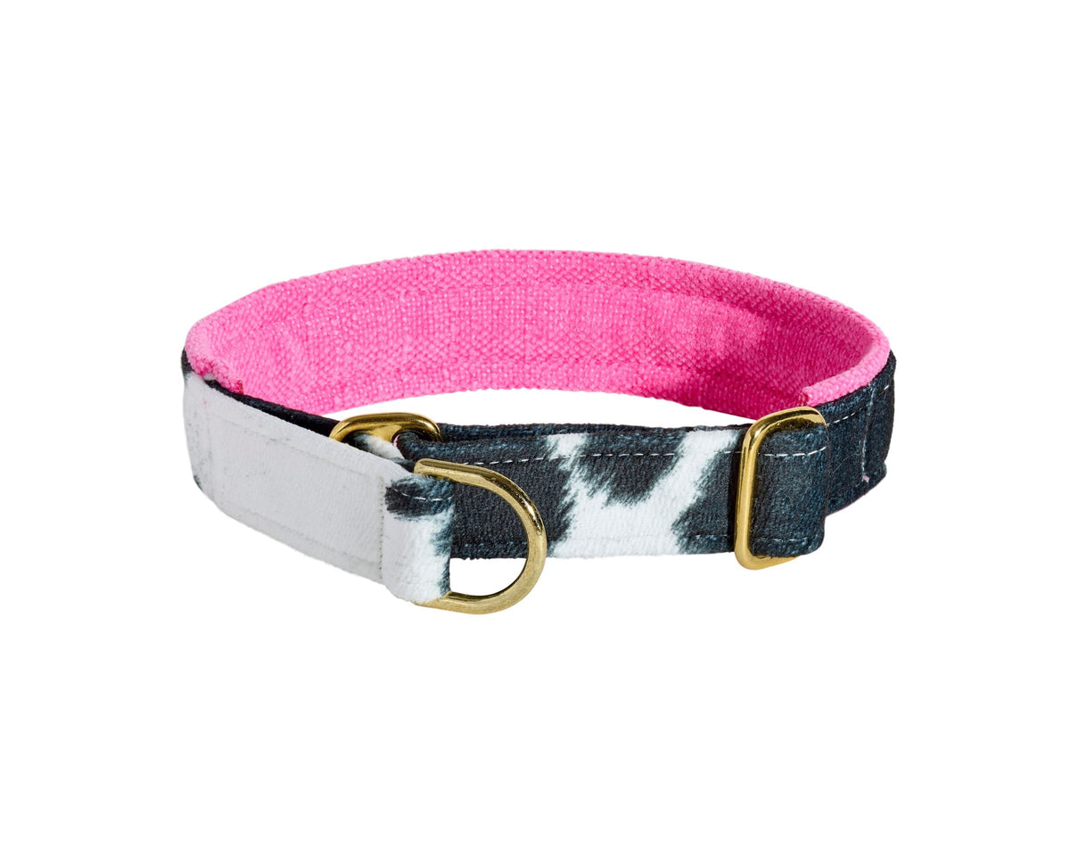 Bowsers Designer Slip Dog Collar - Adjustable Control with Designer Style