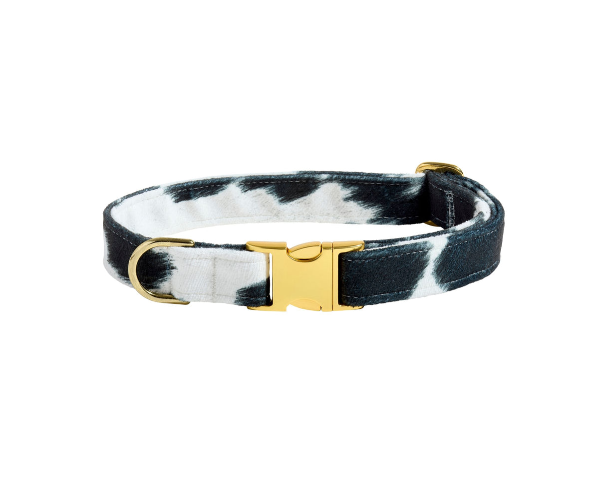 Bowsers Designer Buckle Dog Collar - Secure Everyday Fit and Designer Style