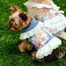 LovePackPuppy Vest