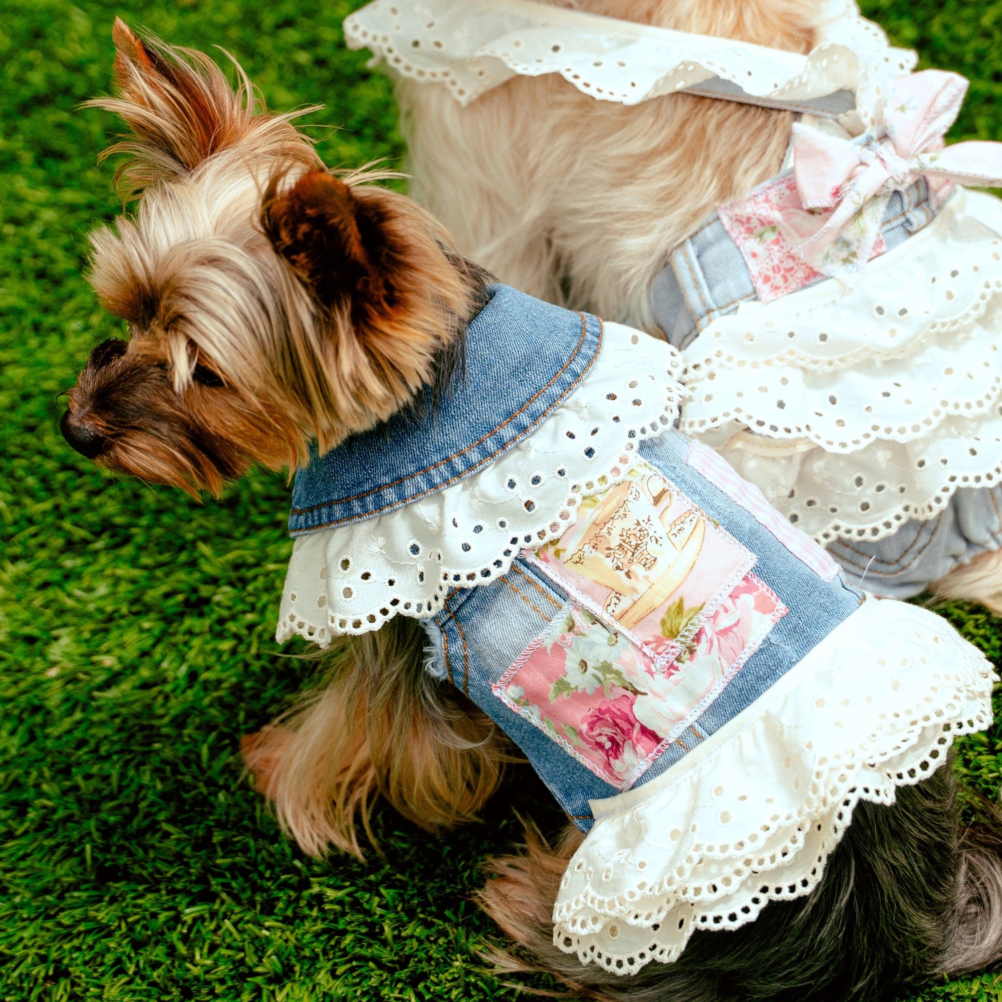 Heads or Tails Pup LovePackPuppy Denim Dog Vest