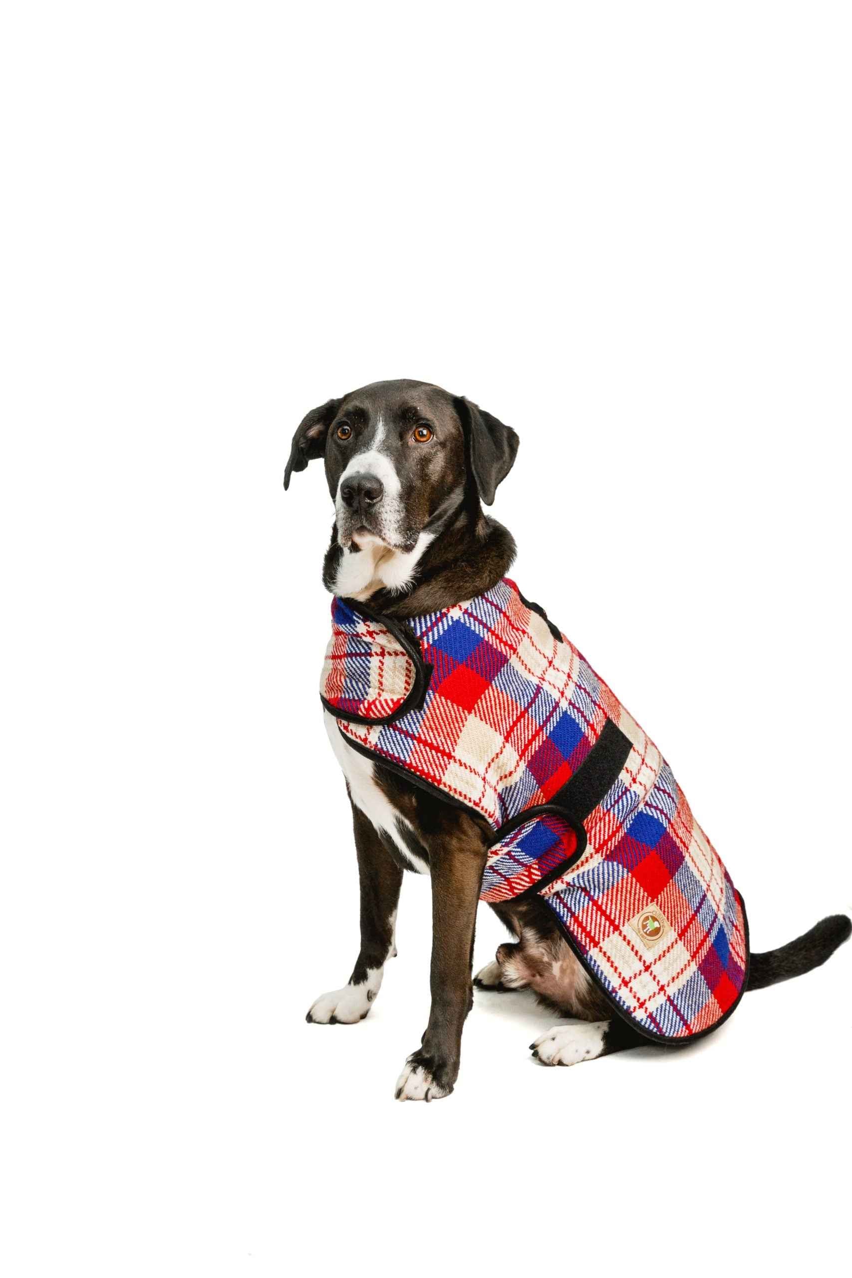 Chilly Dog Red Field Fleece-Lined Dog Blanket Coat