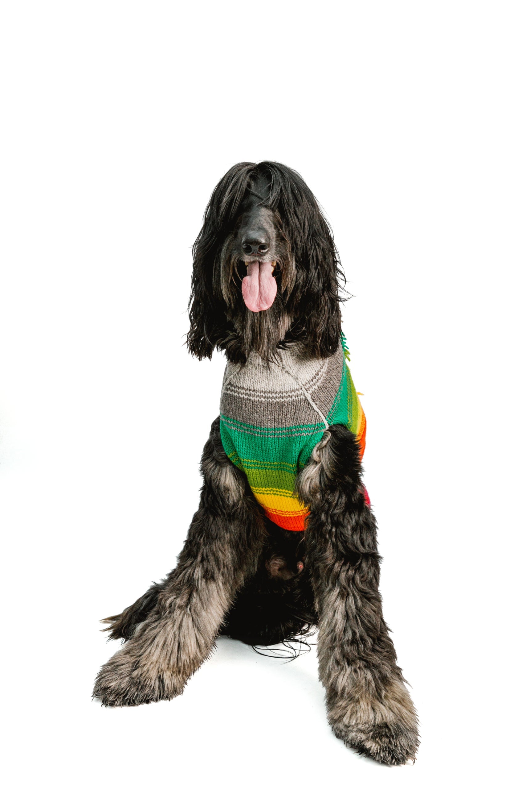 Rainbow Mohawk Dog Sweater