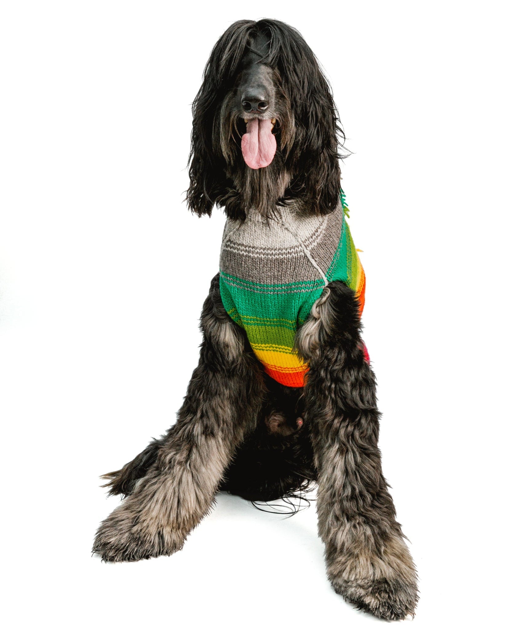 Chilly Dog Rainbow Mohawk Wool Dog Sweater