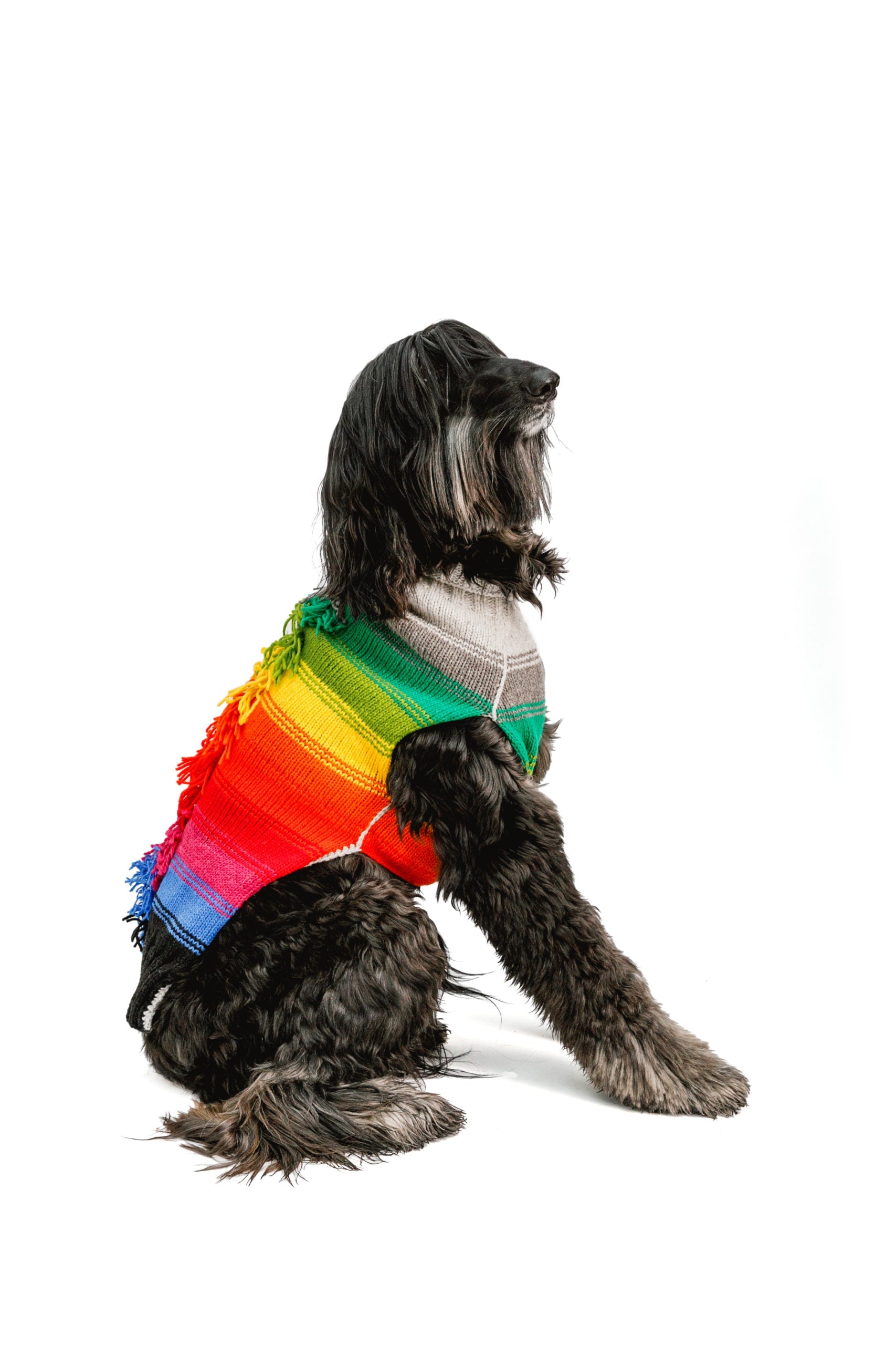Chilly Dog Rainbow Mohawk Wool Dog Sweater
