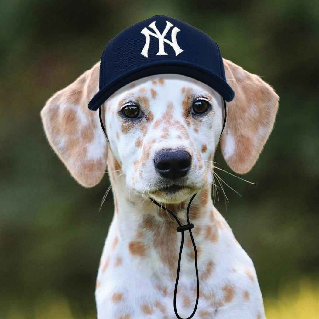 MLB New York Yankees Dog Hat