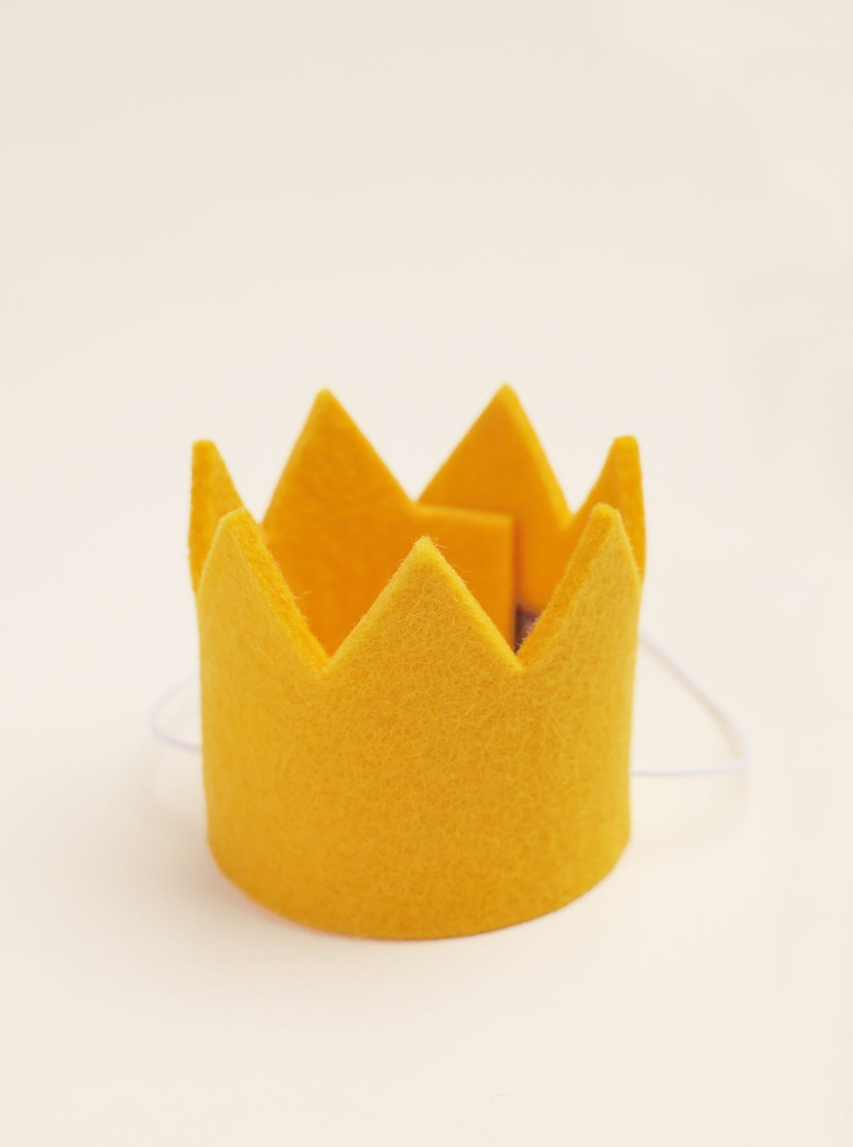 BRIGHT PARTY CROWNS | HT Animal Supply