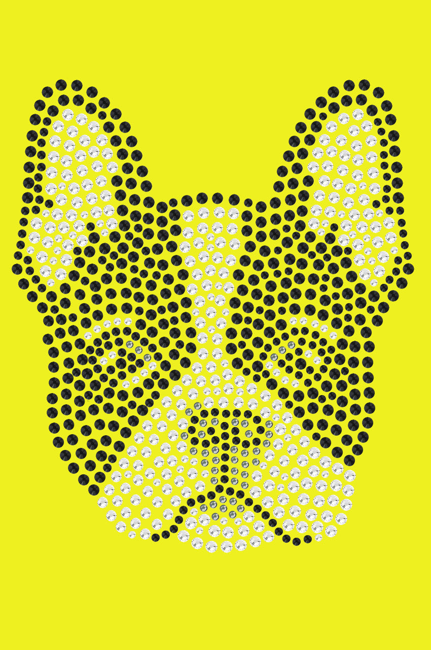 Boston Terrier - bandana